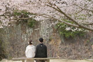 [桜フォト]和装1点・洋装1点・ロケ1カ所