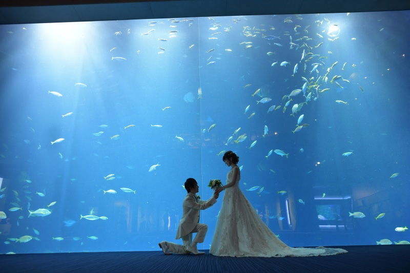 水族館×フォトウエディング!四国水族館プラン「ドレス1点(WorC)・タキシード1点+データ80カット+入場料」