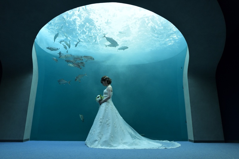 水族館×フォトウエディング!四国水族館プラン「ドレス1点(WorC)・タキシード1点+データ80カット+入場料」