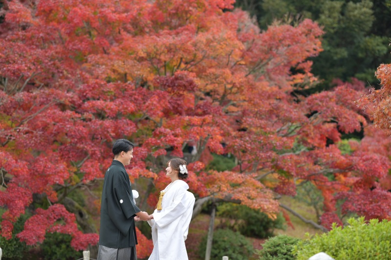 高松OPEN記念!【2組限定50%OFF】紅葉プラン「和装1点・洋装1点・ロケーション1カ所・データ100カット」