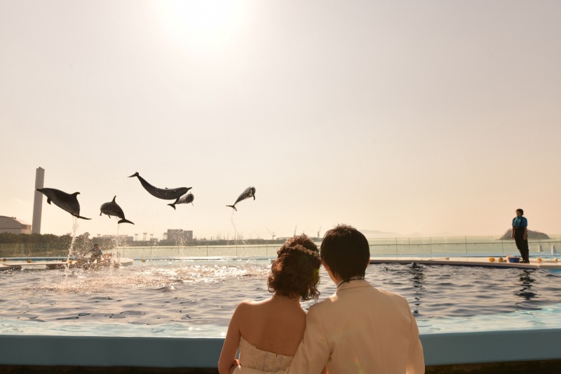 水族館×フォトウエディング!四国水族館プラン「ドレス1点(WorC)・タキシード1点+データ80カット+入場料」