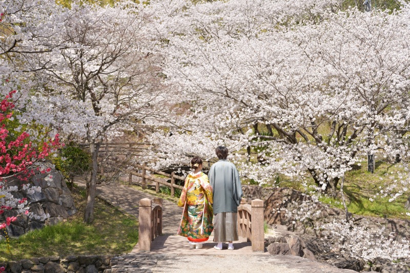 ※桜・新緑の時期に！「和装1点・洋装2点・ロケーション1カ所・データ150カット」