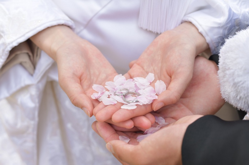 ※桜・新緑の時期に！「和装1点・洋装2点・ロケーション1カ所・データ150カット」