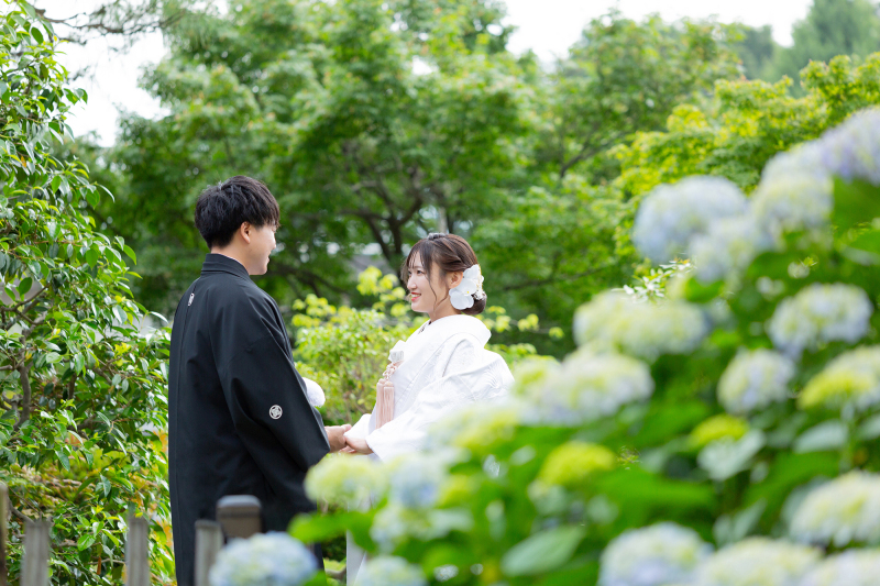 爽やかな紫陽花の中で