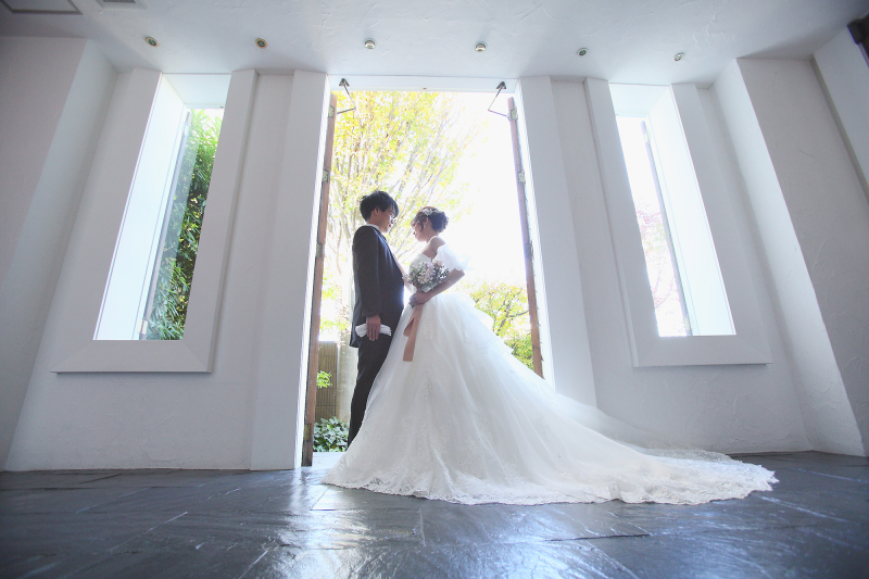 薄黄色の葉が煌めく清々しい1枚です