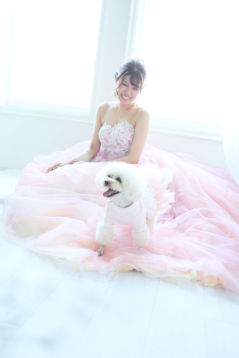 『私も主役だワン!』