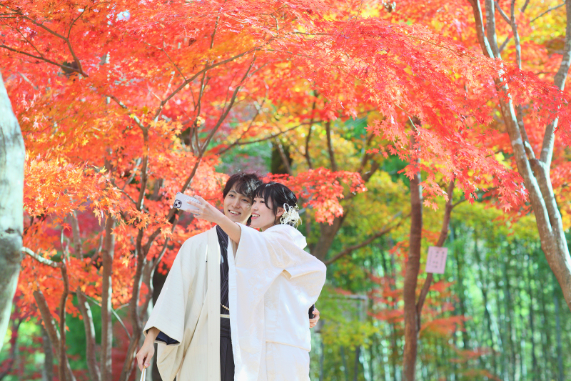 本日のベストショットが撮れましたね