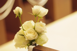 教会飾花･椅子のみ(洋装：館内ロケーション撮影・・アンティーク撮影のお客様）