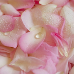 フラワーシャワー用生花（１０人分）