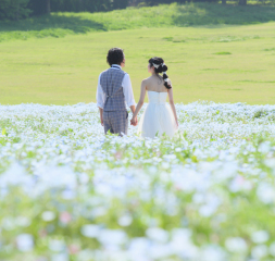 studio lumiere - ｽﾀｼﾞｵﾘｭﾐｴｰﾙ -_PICKUP　PHOTO