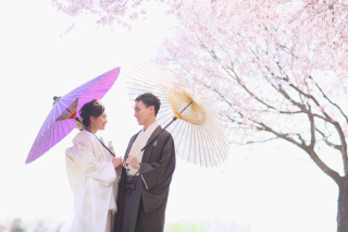 studio lumiere - ｽﾀｼﾞｵﾘｭﾐｴｰﾙ -_PICKUP　PHOTO