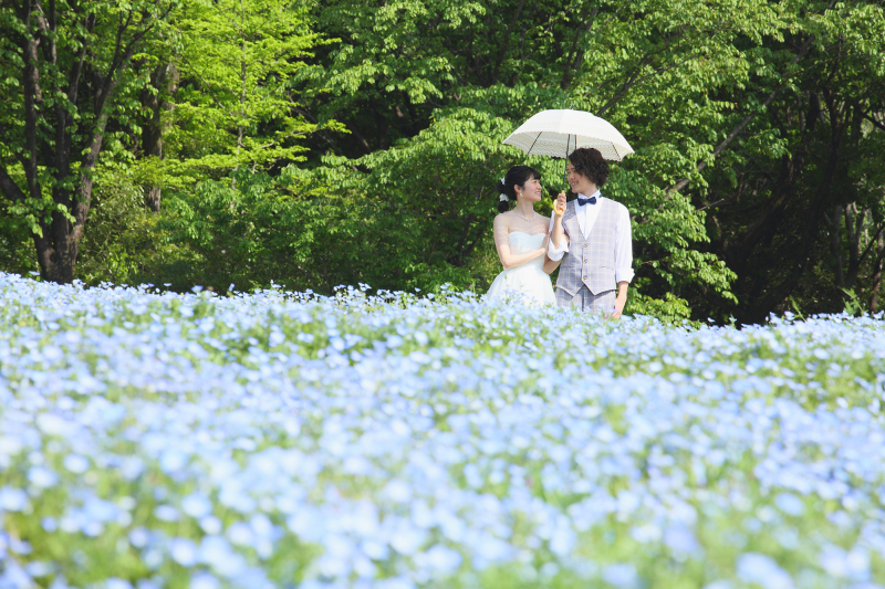 【ネモフィラ プラン♡】洋装1着｜300カットのレタッチ済み データ≪24頁フォトブックも込◎≫嬉しいセルフフォトタイム付き♪　