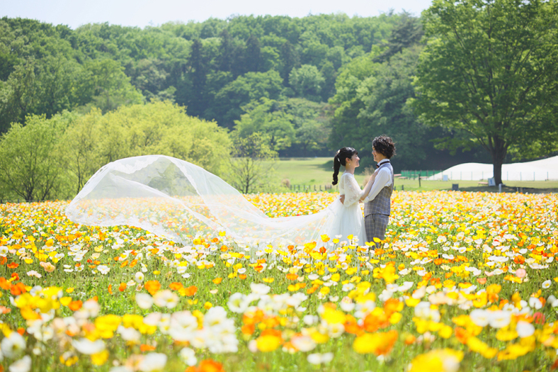 【ポピープラン】洋装1着｜300カットのレタッチ済み全データ≪24頁フォトブックも込≫嬉しいセルフフォトタイム付き♪