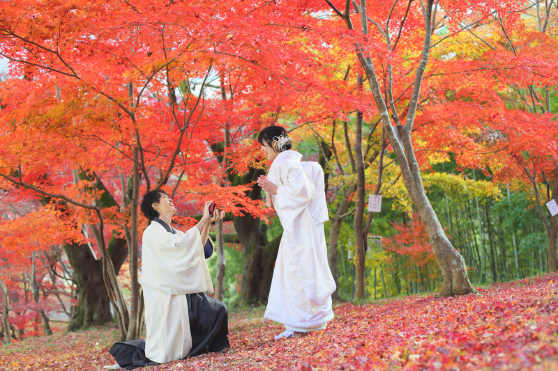 【お好きな場所で紅葉プラン】和装1着《打掛追加料金なし》たっぷり90分撮影☆レタッチ済み300カットデータ&24ページアルバム付