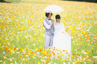 【ポピープラン】洋装1着｜300カットのレタッチ済み全データ≪24頁フォトブックも込≫嬉しいセルフフォトタイム付き♪