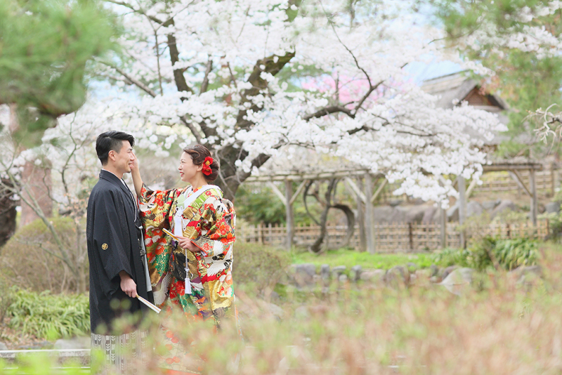 【早い者勝ち】桜＆臨江閣＆日本庭園｜和装1着《打掛追加料金ナシ◎》たっぷり90分撮影♡レタッチ済300枚データ｜24頁アルバム込