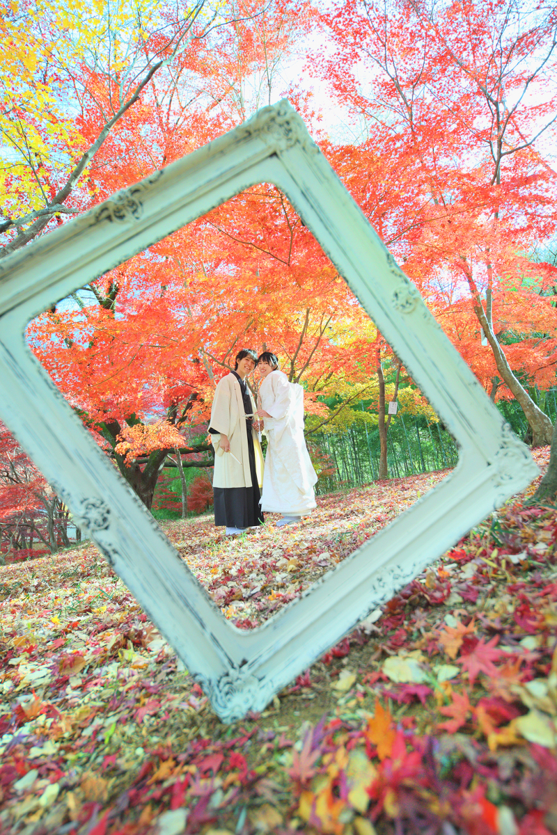 【お好きな場所で紅葉プラン】和装1着《打掛追加料金なし》たっぷり90分撮影☆レタッチ済み300カットデータ&24ページアルバム付