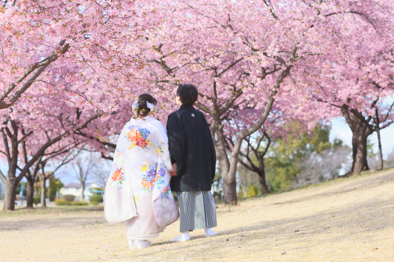 【桜プラン】【和装】300カット以上の全データ付き ~24頁フォトブックもセット♪ 打掛全品無料&肌着や足袋の用意も不要です~