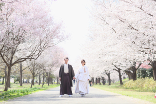 【桜プラン和洋装♡】和装ロケ+洋装はチャペル＆自然光スタジオで≪12頁20カットアルバム込◎》レタッチ済500カットデータ