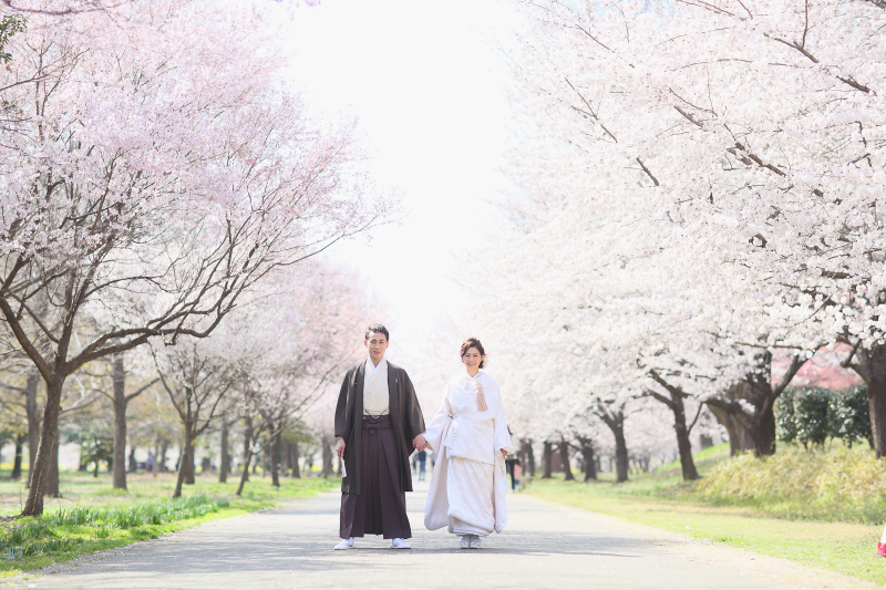 【桜プラン和洋装♡】和装ロケ+洋装はチャペル＆自然光スタジオで≪12頁20カットアルバム込◎》レタッチ済500カットデータ