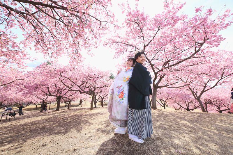 【桜プラン】【和装】300カット以上の全データ付き ~24頁フォトブックもセット♪ 打掛全品無料&肌着や足袋の用意も不要です~