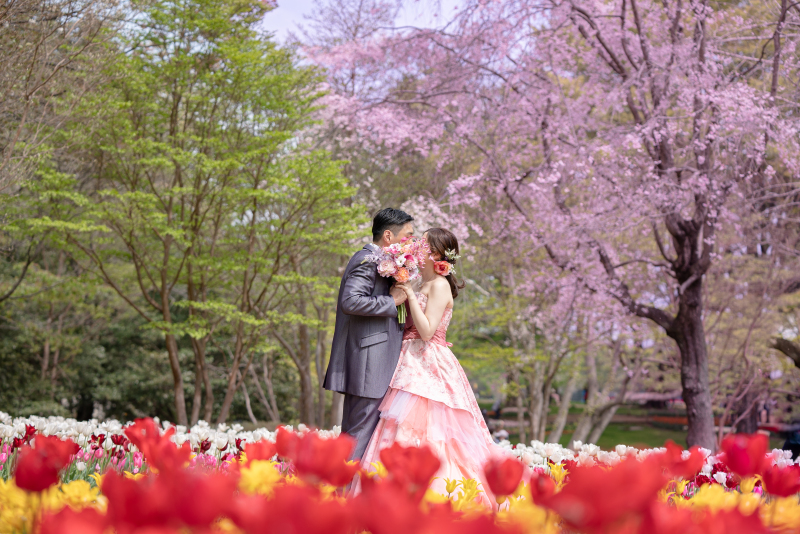 チューリップ畑