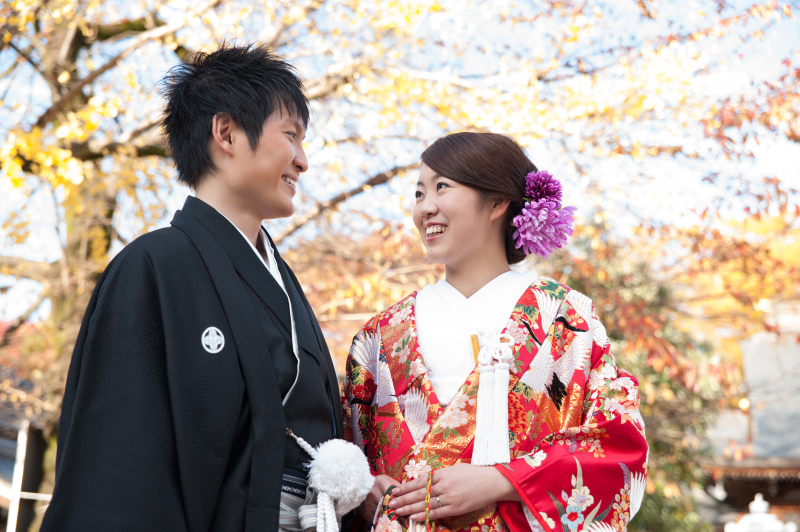 境内のイチョウ