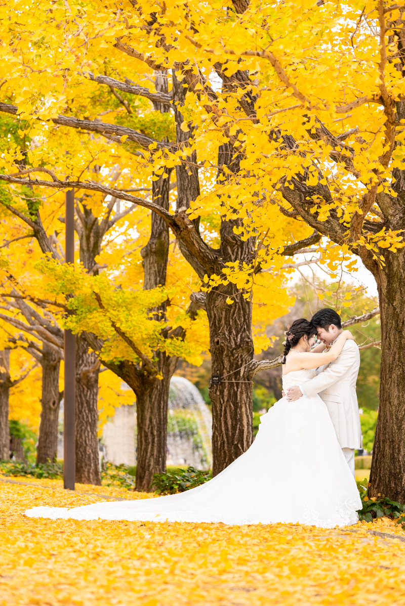 イチョウの絨毯