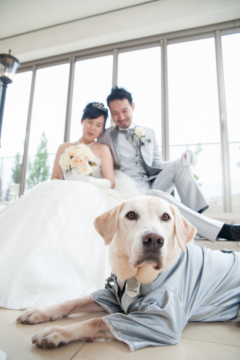 優しく見守っています