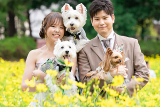 わんちゃんと一緒のロケーション♡結婚式の前撮り撮影♡
