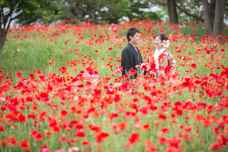 ポピーが満開！！