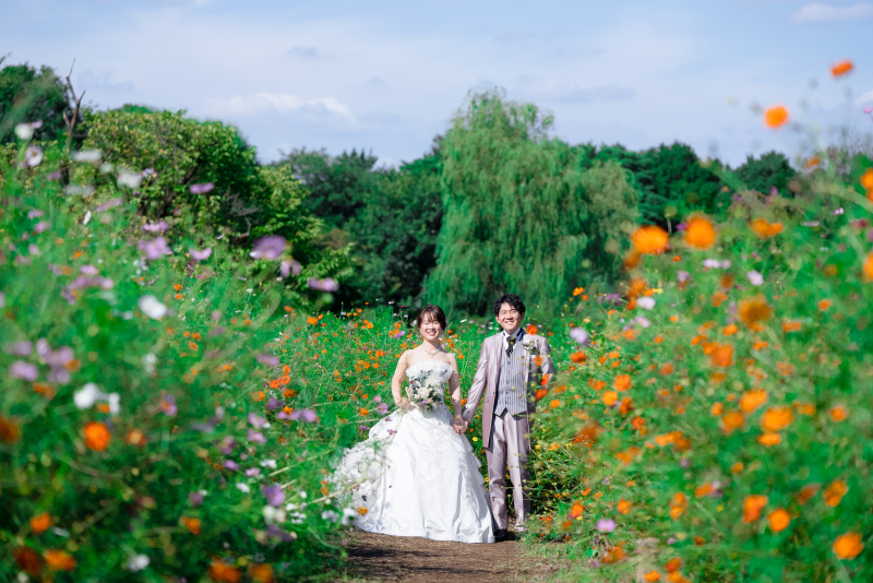 コスモスパレード