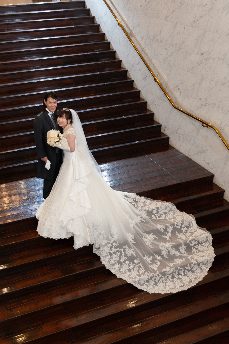 美しいトレーン