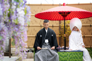スタジオ内庭園フォトブースまたは昭和記念公園内庭園