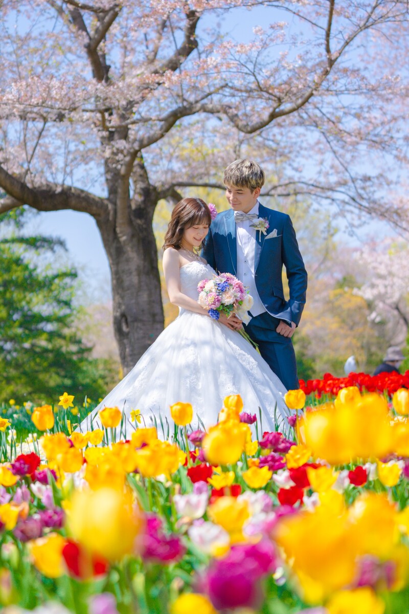 20以上ある撮影シーン