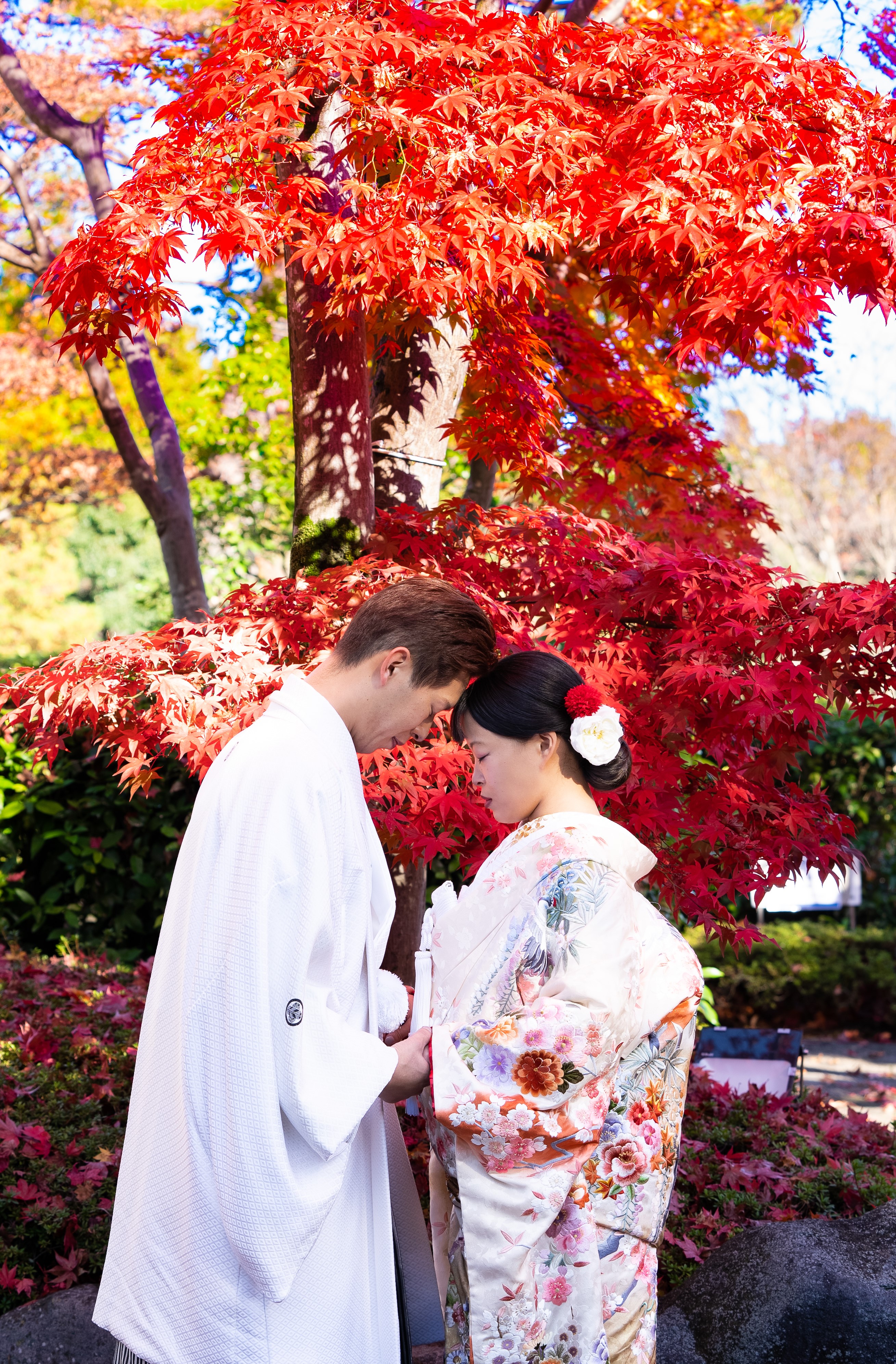 20以上ある撮影シーン