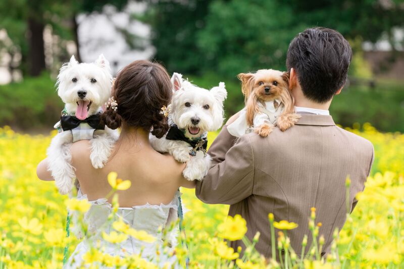 【ワンちゃん・ネコちゃんと一緒にロケーション撮影】昭和記念公園ロケーションウェディング♪洋装データ付プラン