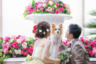 ペットと一緒に撮影♡データ100カット&パネル付き♪洋装スタジオプラン