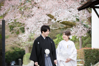 春を感じる京都で撮影