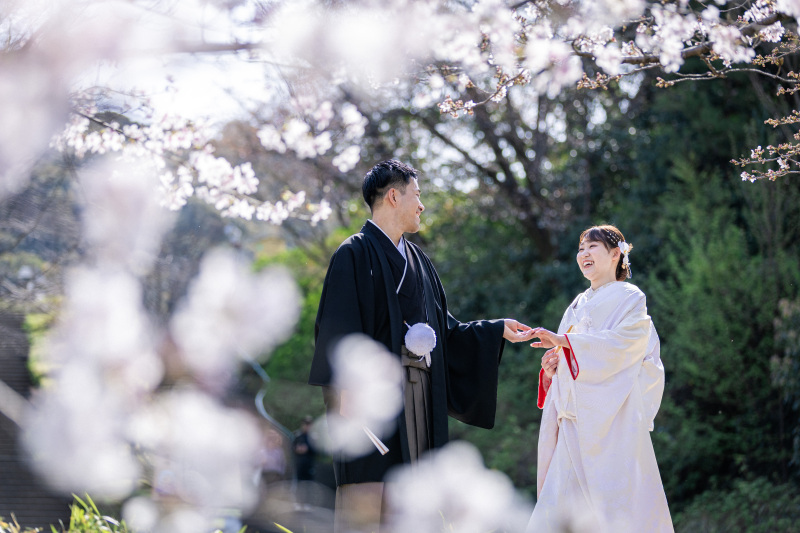 桜満開！八坂の塔付近にて