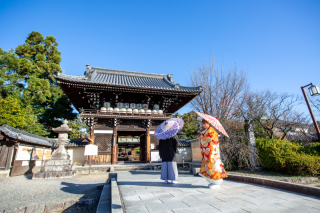 梅宮大社で撮影