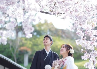 八坂の塔付近で桜バック＆スタジオで撮影！