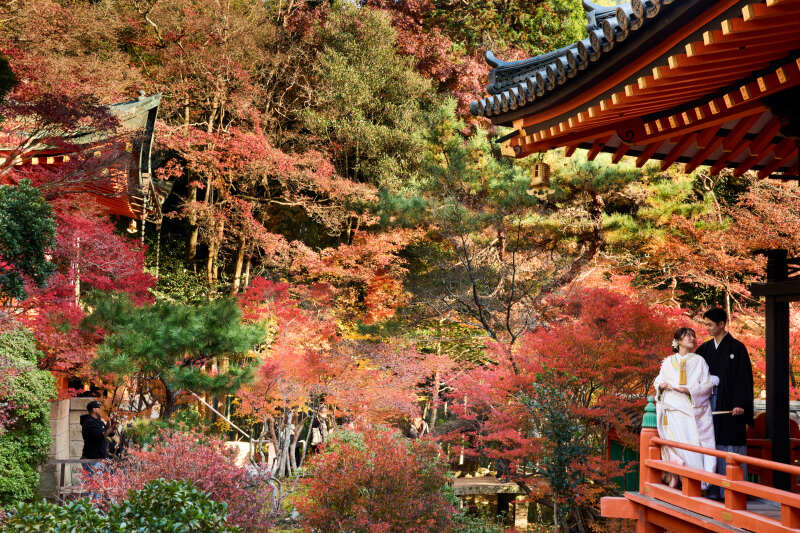 紅葉