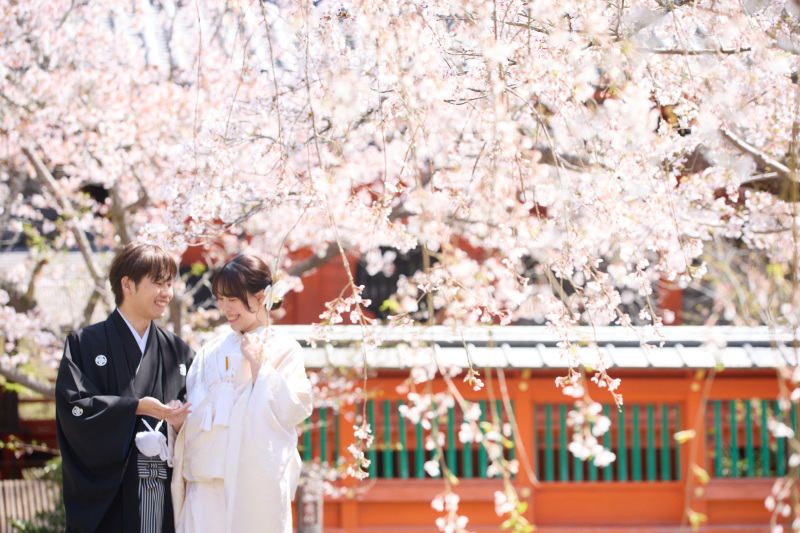 桜満開の毘沙門堂で撮影♪