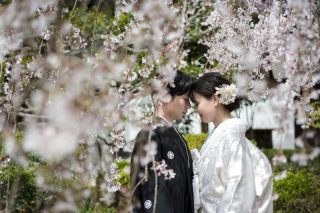 色打掛＆白無垢で　ロケ地2か所撮影！