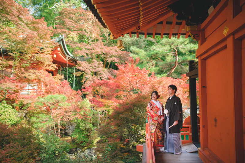 紅葉のグラデーション2