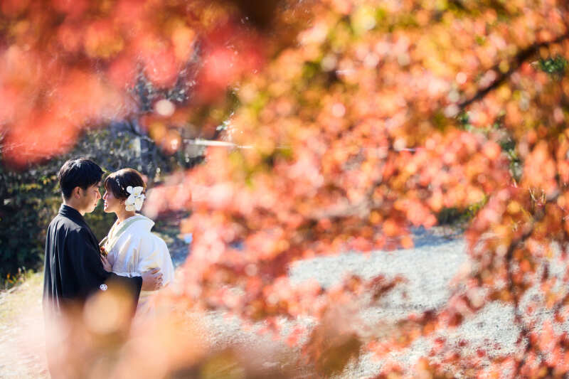 紅葉