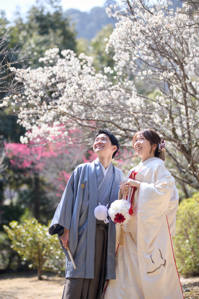 桜シーズン