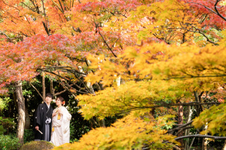 白河院で楽しむ紅葉前撮り