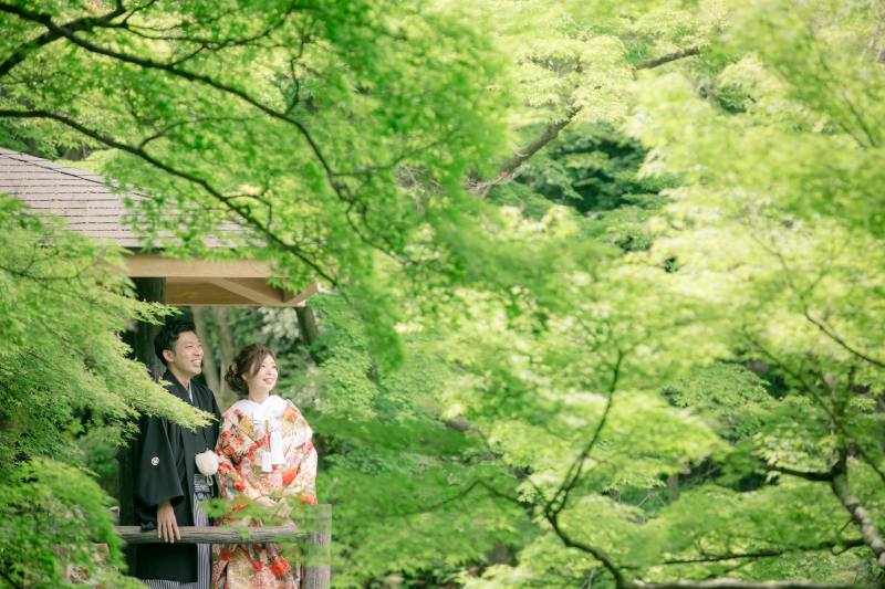 新緑の木々たち